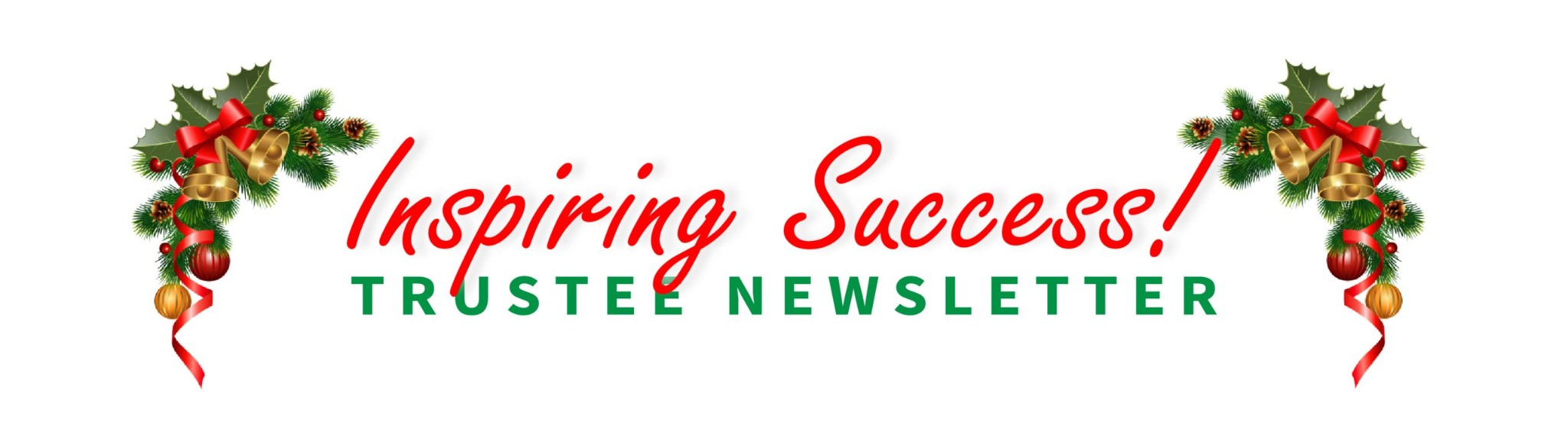 Website Trustee Xmas Newsletter banner 1 scaled